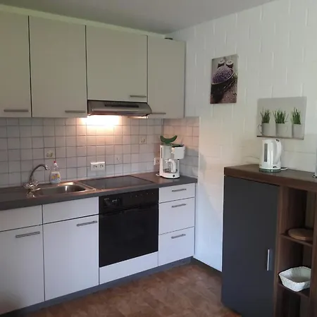 Modern In Sellinghausen With Terrace, Cleaning Included Apartment *