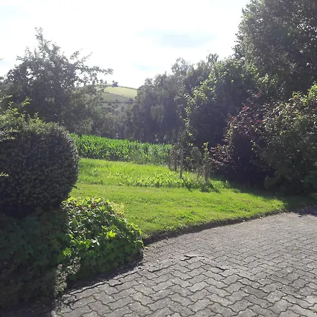 Modern In Sellinghausen With Terrace, Cleaning Included Apartment Schmallenberg