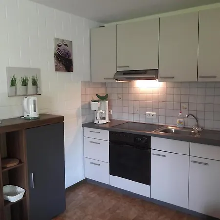 Modern In Sellinghausen With Terrace, Cleaning Included